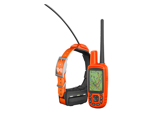 GPS-ошейники